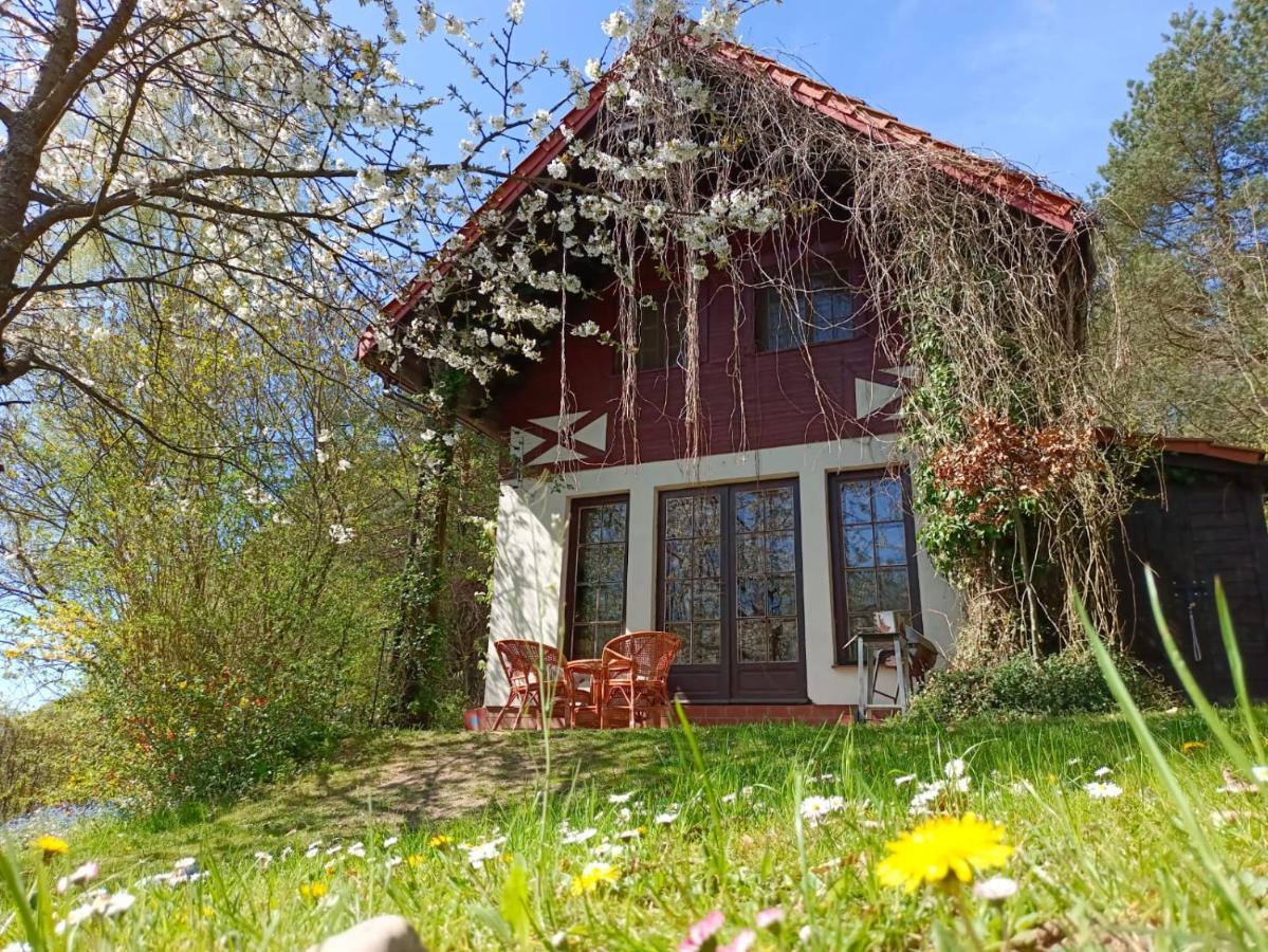 Apartmán Birchy Hills Sitno  Exteriér fotografie
